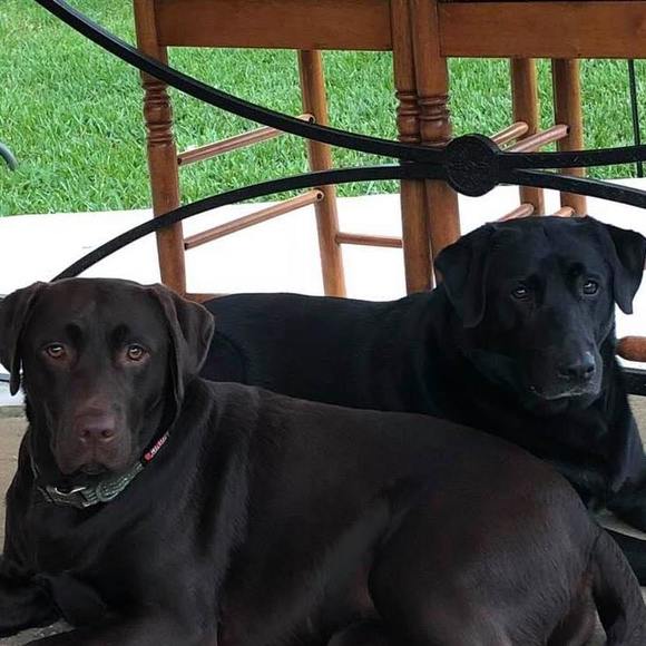 Meet your Posher, Maureen - Picture 1 of 1